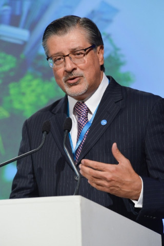 IRENA DG (400x600)